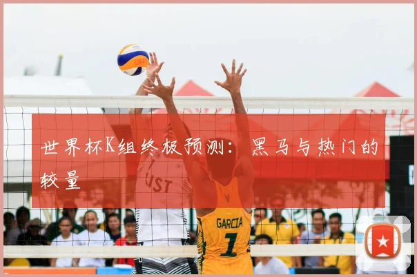 世界杯K组终极预测:黑马与热门的较量