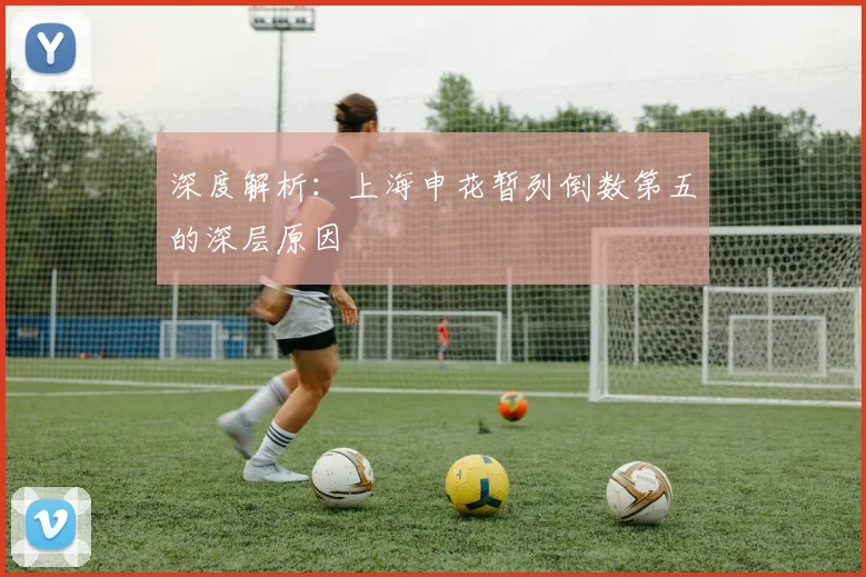 深度解析:上海申花暂列倒数第五的深层原因